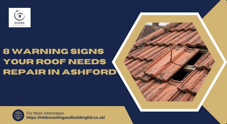 8 Warning Signs Your Roof Needs Repair