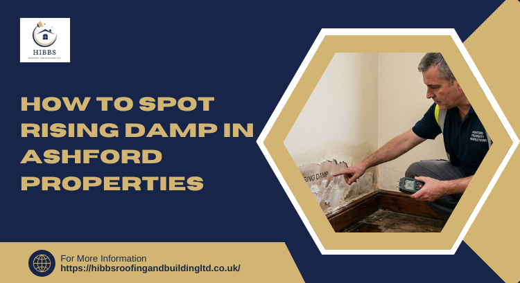 [How to Spot-Rising Damp On Wall In An Ashford-Home]