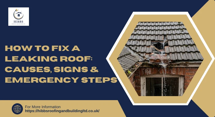 How to fix a leaking roof, Emergency roof leak repair guide