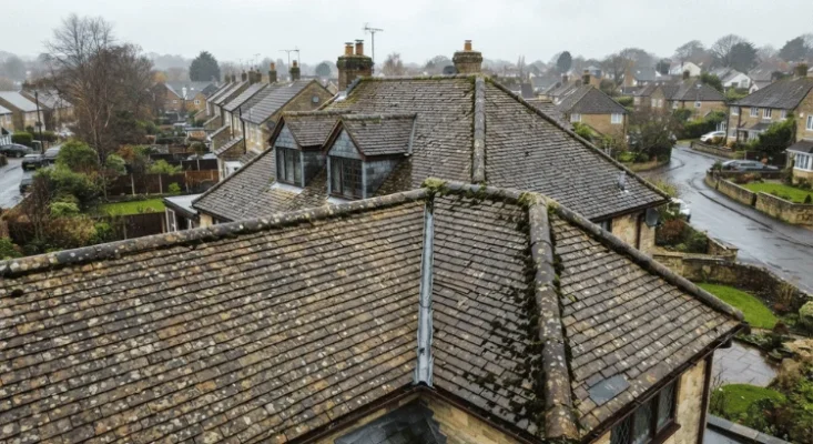Roof Design and Moss Growth
