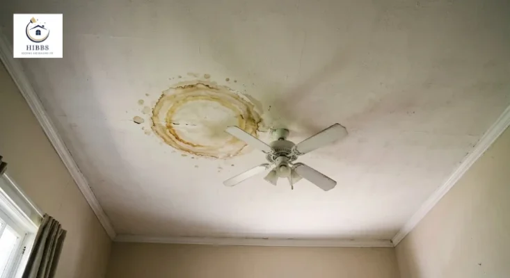 Water Stains on Ceilings or Walls