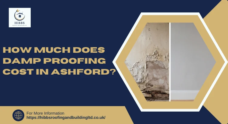 How Much Does Damp Proofing Cost in Ashford