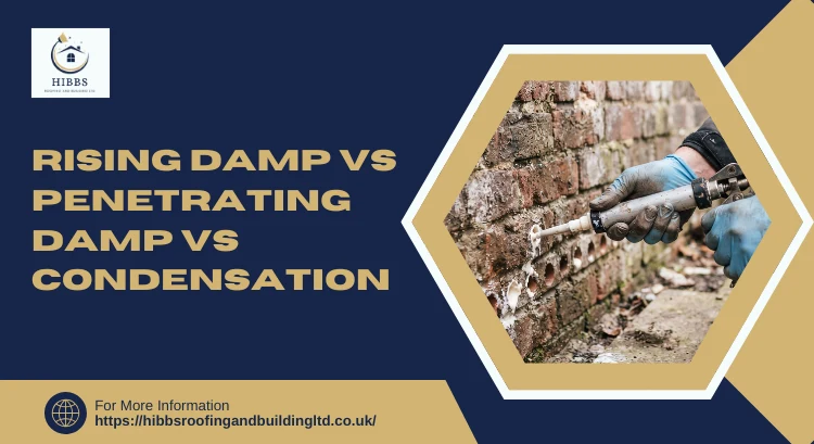 Rising Damp vs Penetrating Damp vs Condensation