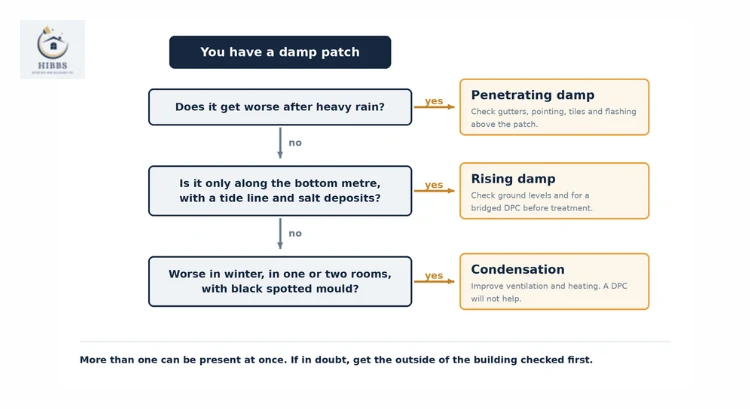 Flowchart for identifying rising damp, penetrating damp or condensation