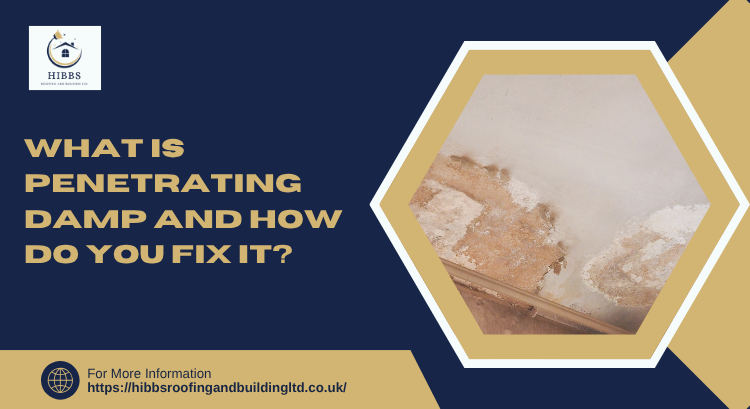 What Is Penetrating Damp and How Do You Fix It?
